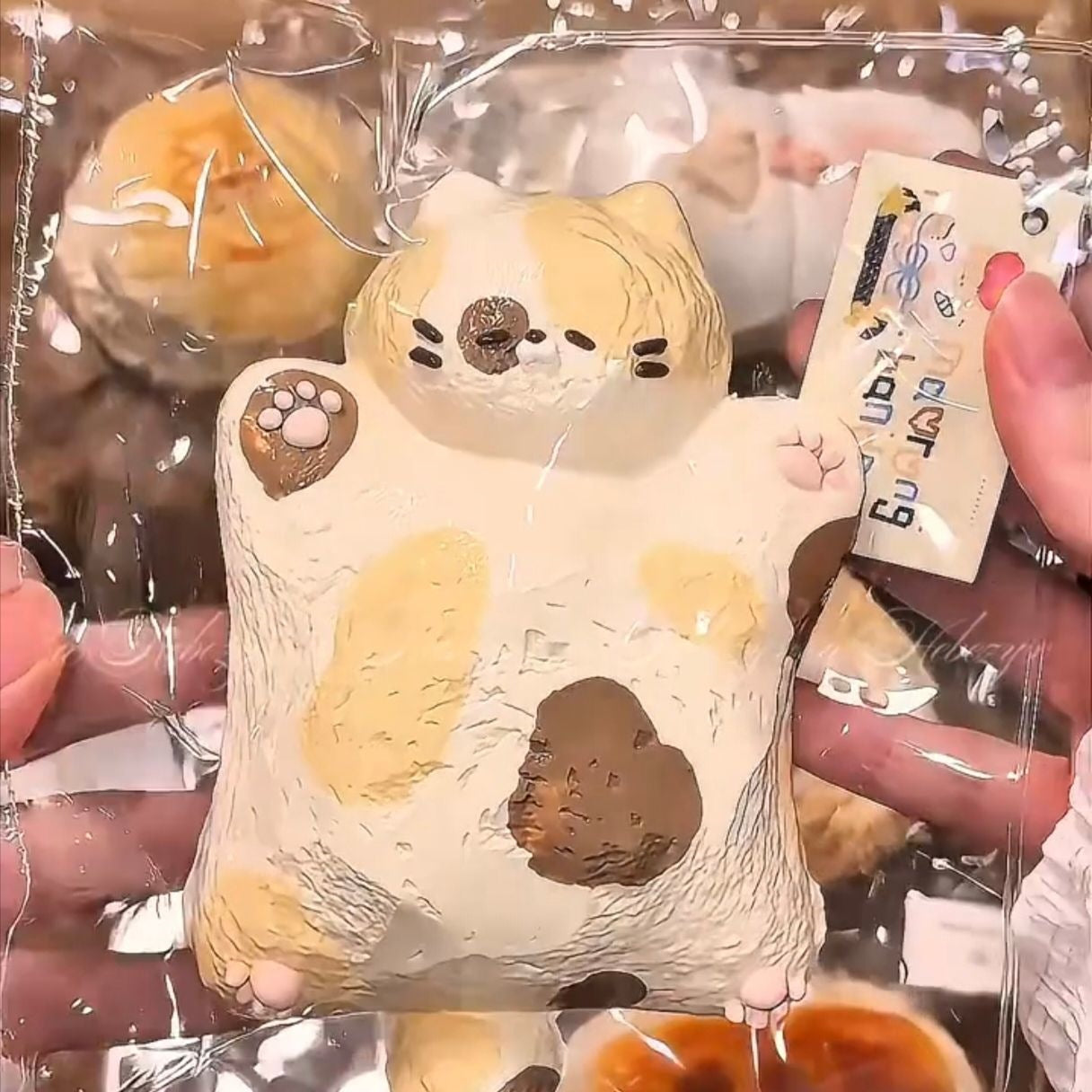 Cream Squishy Tabby Cat toy held in hand for scale